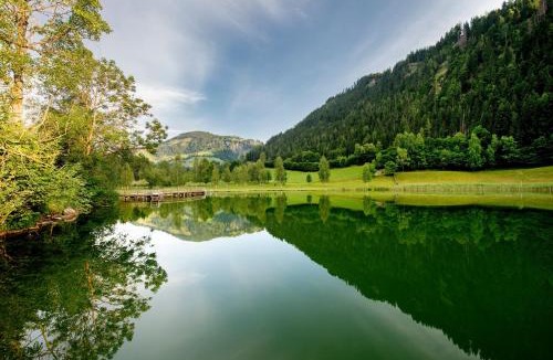 Goldegg Hotel | Hotel Seeblick