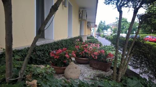 Abano Terme Hotel | Hotel Terme Belvedere