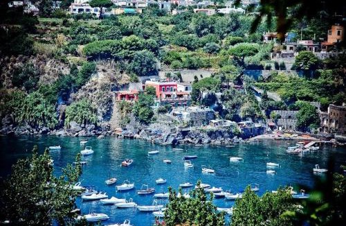 Ischia Ponte Hotel | Hotel Villa Antonio