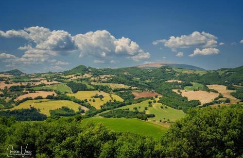 Pergola Apartment | I Magnoni