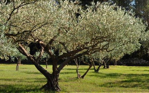 Vetralla House | Il Pozzo Romano