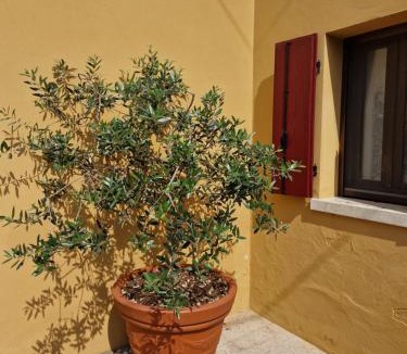 Marostica House | Il Vicoletto
