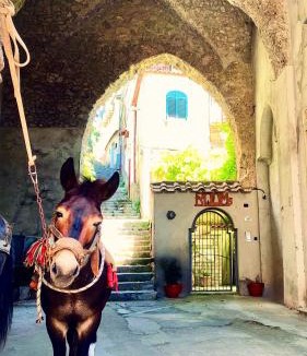 Pontone House | L'Antico Episcopio