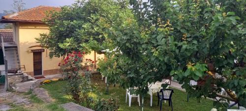 Levice House | La casa di Vic