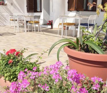 Marina di Pisciotta Bed & Breakfast | La Meriggia B&B