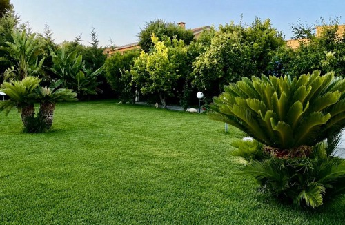 Agrigento Apartment | La Rosa dei Templi