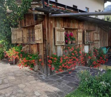 Cavalese Apartment | Maso Pinterato
