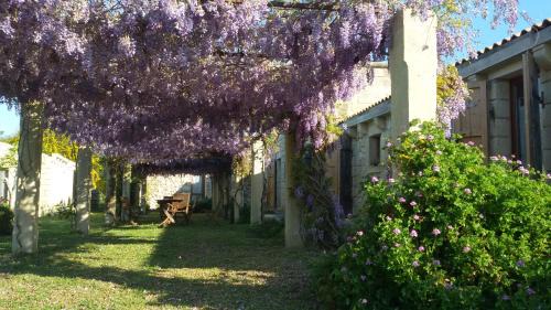 Vernole House | Masseria Copertini