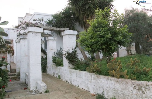 Ostuni Villa | Masseria Fontana Vecchia in the plain of millenary olive trees