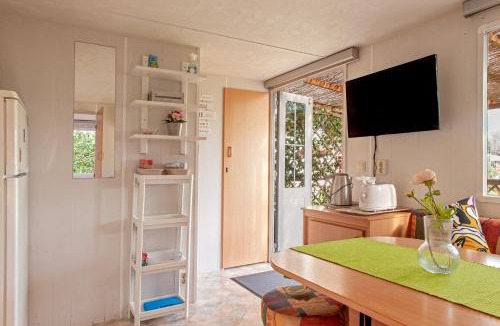 San Piero a Grado House | Oasis on the river