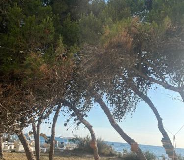 Rivabella Apartment | Orsa Maggiore Holiday