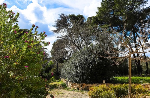 Ostuni Apartment | Ostuni Blue Room Suite