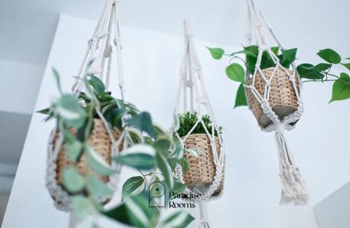 Bitritto Apartment | Paradise Rooms