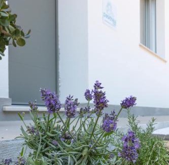 Lanciano House | Pasithea House