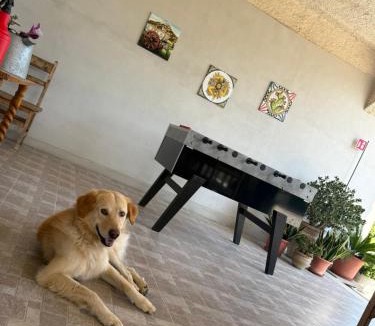 Melilli Apartment | Piccolo Podere