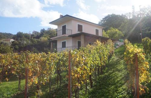 Perdifumo House | Pink House