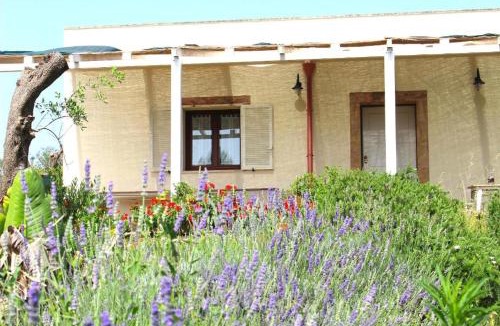 Casarano House | Planifolia