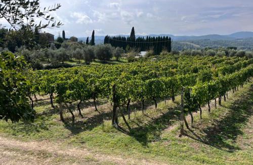 Santarello House | Podere Campanella