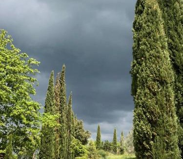 Castelnuovo Berardenga House | Podere Campovecchio