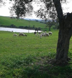 Manciano House | Poggio Moretto