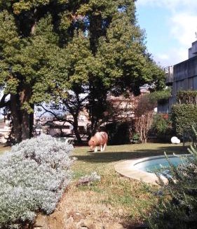 Camilluccia House | Relais La Canfora