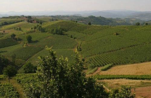 Cassine House | Resort la villa