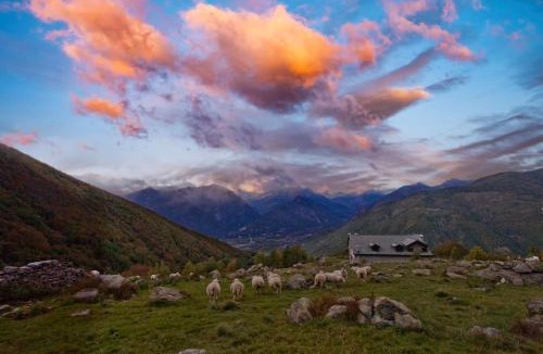 Trontano Hostel | Rifugio Parpinasca