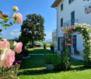 Castelnuovo del Garda Bed & Breakfast | ROSETO HOLIDAYS AZZURRO