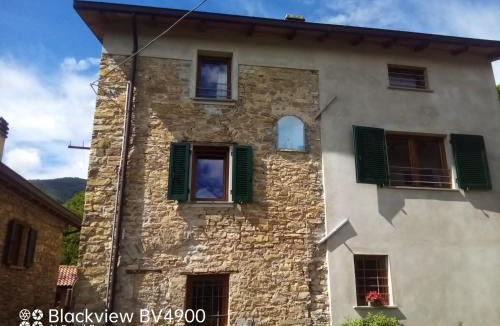 Tosca Apartment | Segarati Relax Ca Perdissi