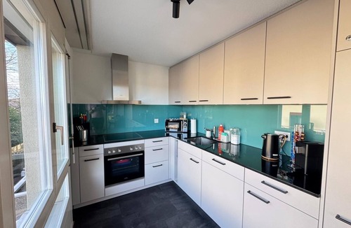 Spiez Apartment | Sneeze view