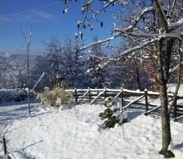 Compiano House | Tolasudolsa Rooms, Breakfast & Mountain Bike