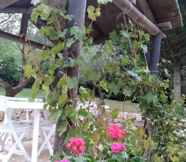 Alberobello Bed & Breakfast | Trulli Villa Gloria
