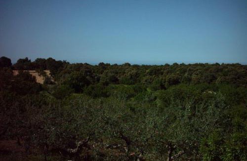 Impalata Villa | Trullocarluccio