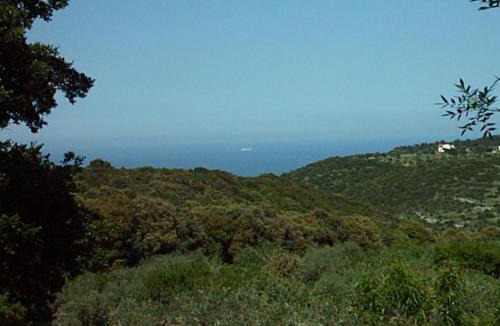 Impalata Villa | Trullocarluccio