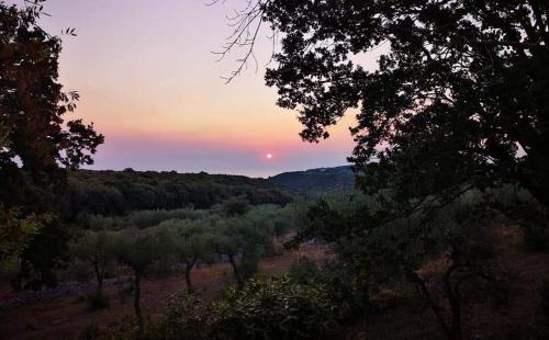 Impalata Villa | Trullocarluccio