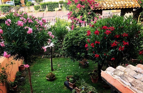 Marta Apartment | Tuscany Location