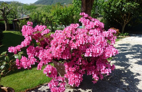 Vicopelago Villa | Typical Tuscan villa, independent, wifi, with private pool and parking
