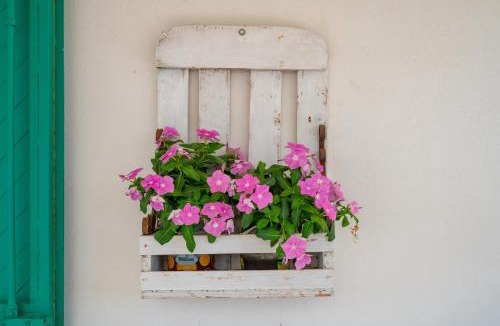 Manduria Villa | Ulivi