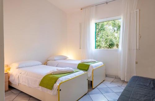 Manduria Villa | Ulivi