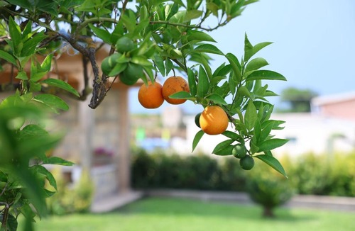 Melilli House | Villa Aurelia