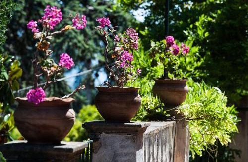Carruba House | Villa Bagolaro