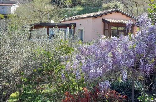 Piazza Armerina Bed & Breakfast | Villa Clementine