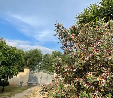 Galatone House | Villa Emma