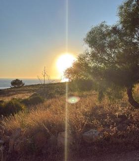 Cornino Villa | Villa Enza - fronte Mare