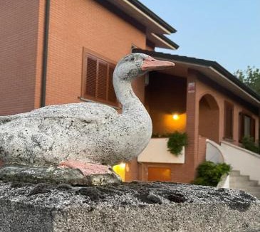 Vigano Villa | Villa Enza