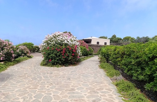 Pantelleria Apartment | Villa Francesca - wonderful apartment in villa in Pantelleria