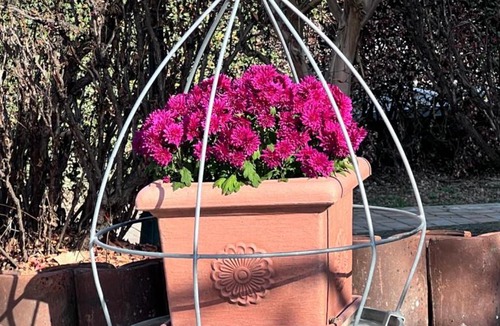 Borgonovo Apartment | Villa Lilli Beta Bella - Appartamento Rosso Whispering Vines