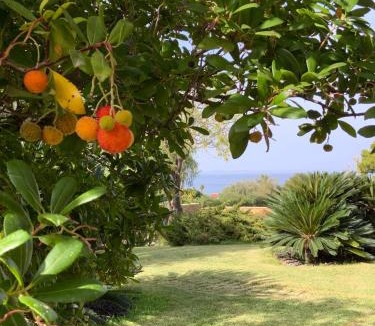 Brucoli Bed & Breakfast | Villa Magnolia