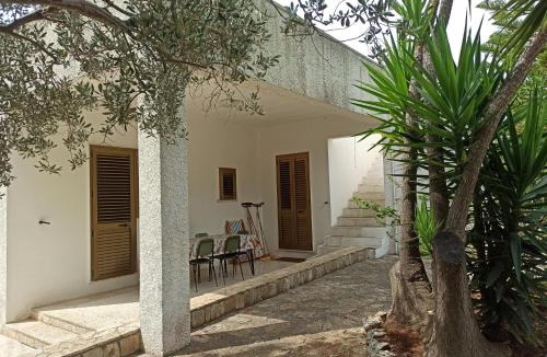 Patu House | Villa Maria