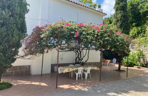 Ischia Porto House | Villa Marie Claire